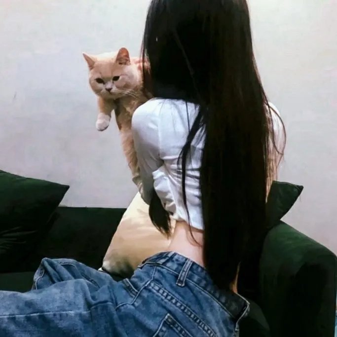 卡美拉2 雷吉翁袭来
